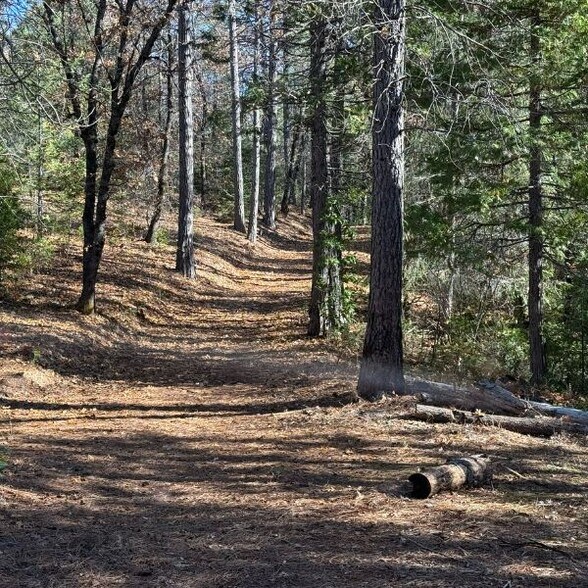 More Photos Of Vacant Land Spring Garden Road, Foresthill Land For Sale