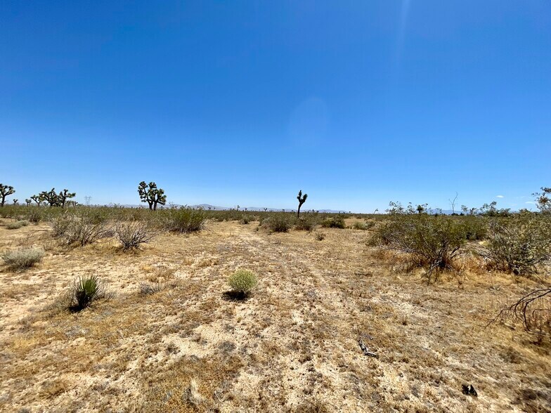 More Photos Of Nevada Rd @ South St., Phelan Land For Sale