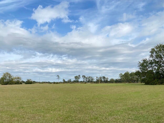 More Photos Of 0 Hwy 41S, Foreman Land For Sale