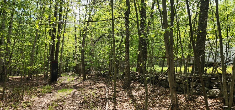 More Photos Of 1433 Co 56 Rd, Mountain Dale Land For Sale