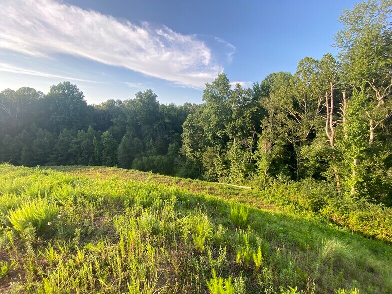 More Photos Of Charles Hardy Pkwy, Dallas Land For Sale
