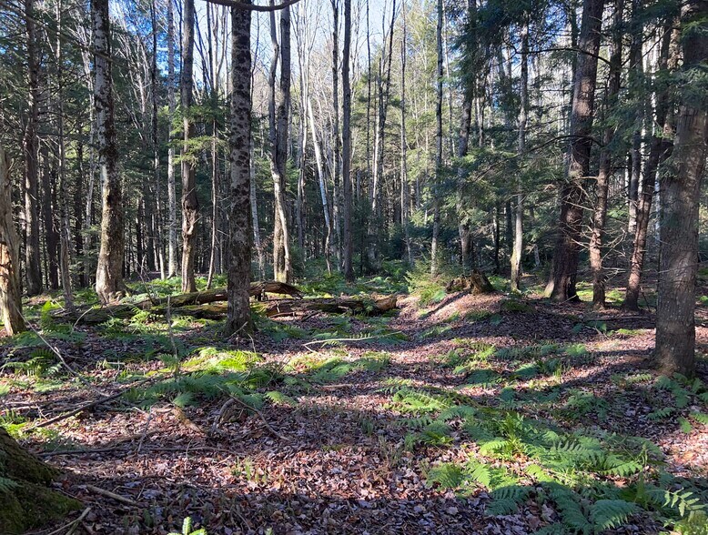 More Photos Of , Killington Land For Sale