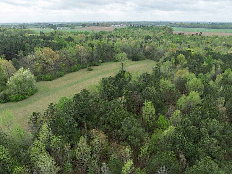 More Photos Of 18990 Moyers Rd, Athens Land For Sale