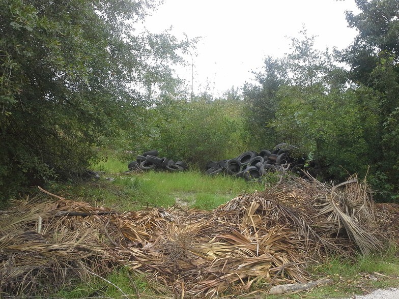 Primary Photo Of Hwy 544 & Kingswood Dr, Conway Land For Sale