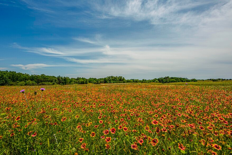 Primary Photo Of 4301 4301 Monroe Hwy, Granbury Land For Sale