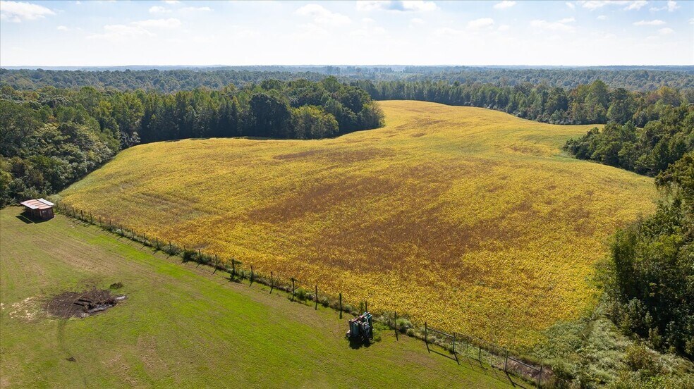 More Photos Of 667 Hustle Rd, Hustle Winery Vineyard For Sale