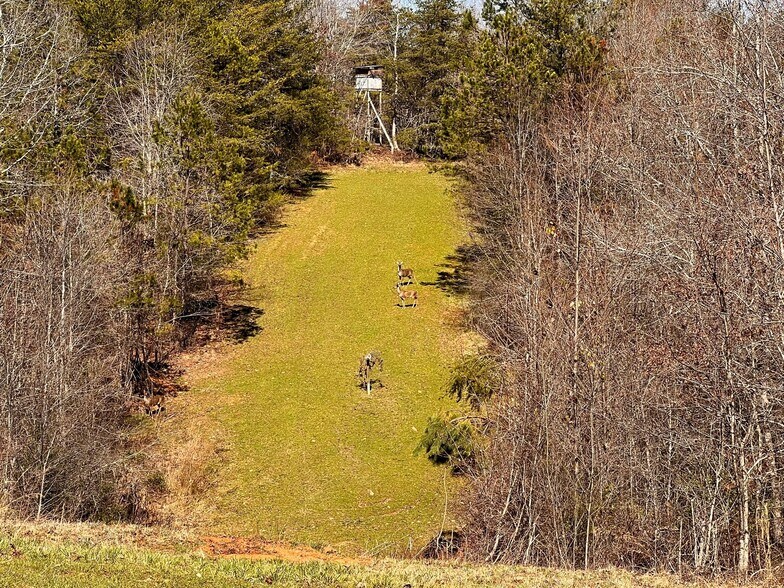 More Photos Of 6390 Lula Road, Lula Land For Sale