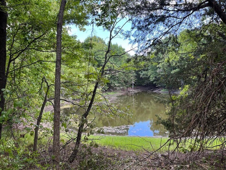 More Photos Of 5051 N Loy Lake Rd, Sherman Land For Sale