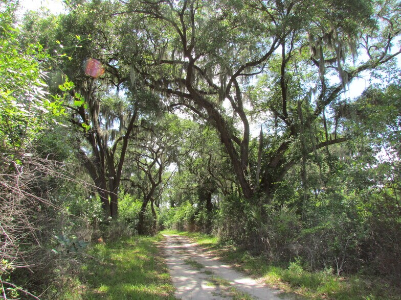 More Photos Of 214A Seabrook Rd, Seabrook Land For Sale