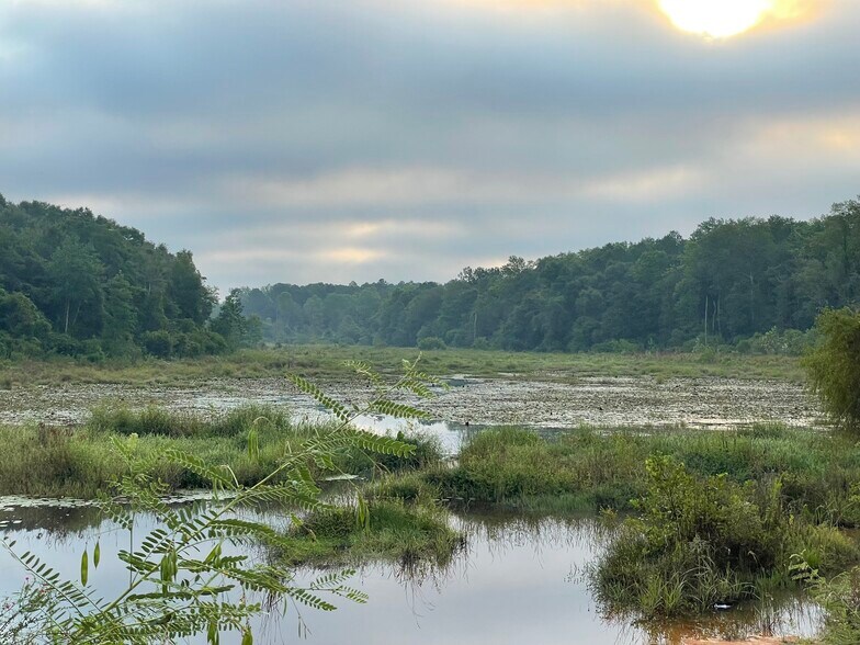 More Photos Of 00 Bull Branch, Coffee Springs Land For Sale