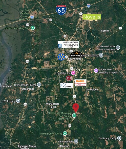 More Photos Of 39207 State Highway 59, Bay Minette Land For Sale