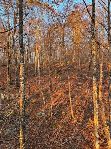 More Photos Of 152 Lily Lake Rd, Highland Land For Sale