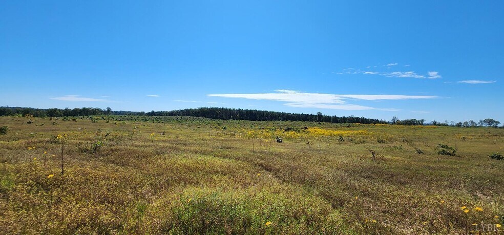 More Photos Of Glenmore Road, Scottsville Land For Sale