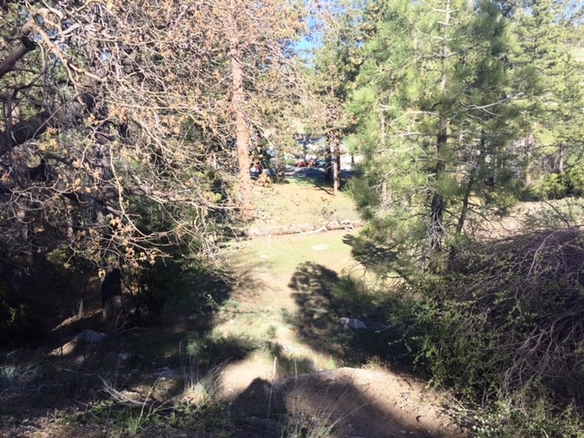 Primary Photo Of Talmadge Rd, Big Bear Lake Land For Sale