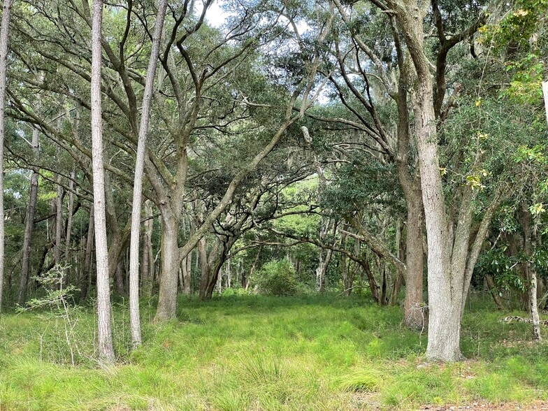 More Photos Of 0 King Rail Lane, Edisto Island Land For Sale