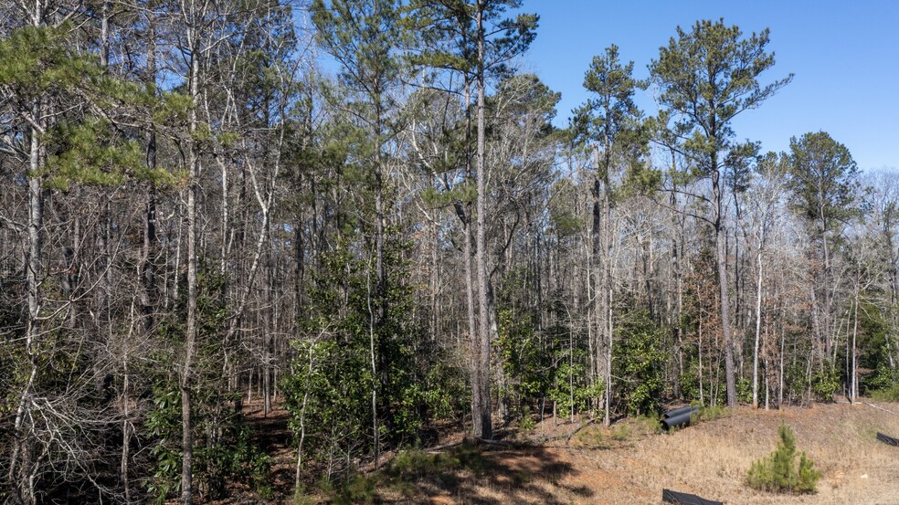 More Photos Of 0 Roosevelt Hwy, Warm Springs Land For Sale