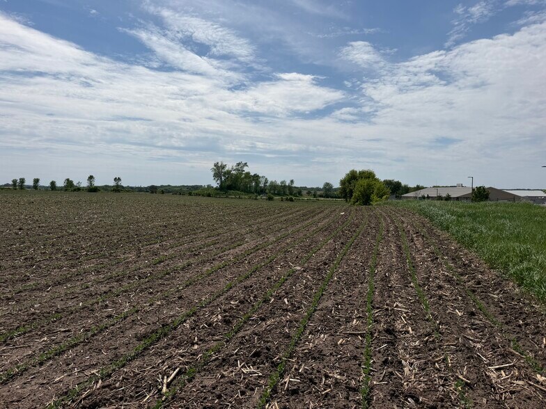 More Photos Of TBD 31st NW Ave @ HWY 52/75th Street NW, Oronoco Land For Sale