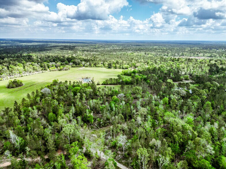 More Photos Of TBD Vick Spring Rd, New Waverly Land For Sale