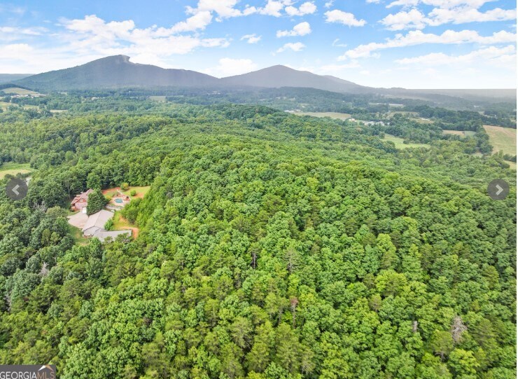 More Photos Of 0 Westmoreland Rd, Cleveland Land For Sale