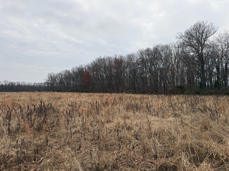 More Photos Of 00 Illinois 148, Mulkeytown Land For Sale