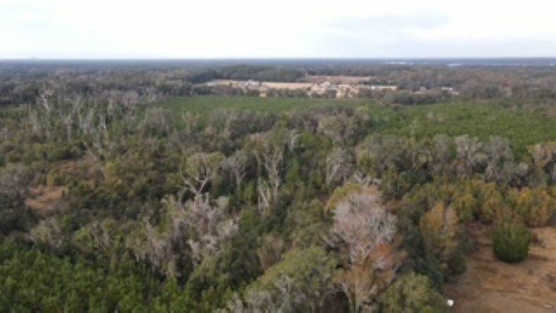 More Photos Of 10602 NW 143rd St, Alachua Land For Sale