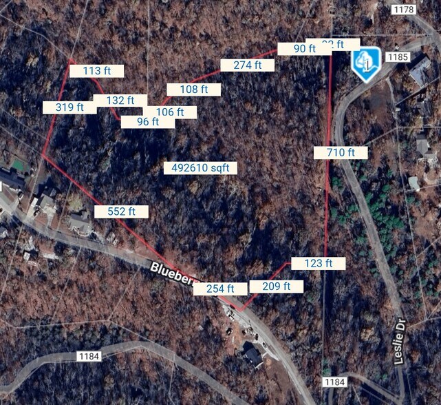 More Photos Of Blueberry Ln, Lowell Land For Sale