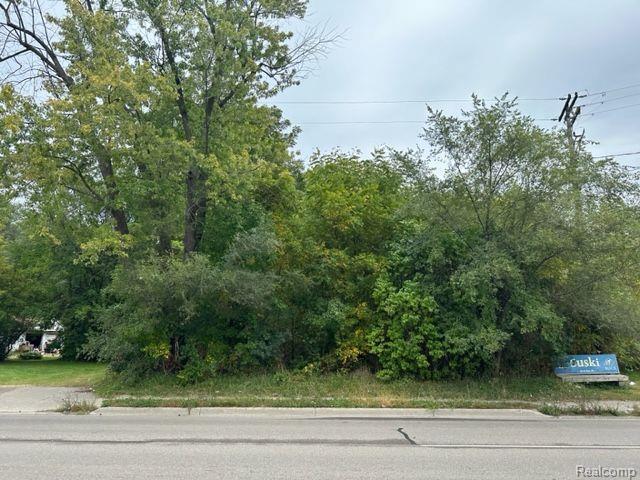 More Photos Of 4055 Davison, Burton Land For Sale