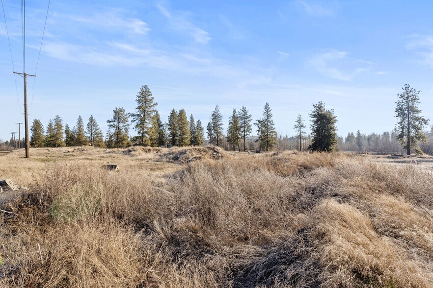 More Photos Of 233 Alki St, Cheney Land For Sale