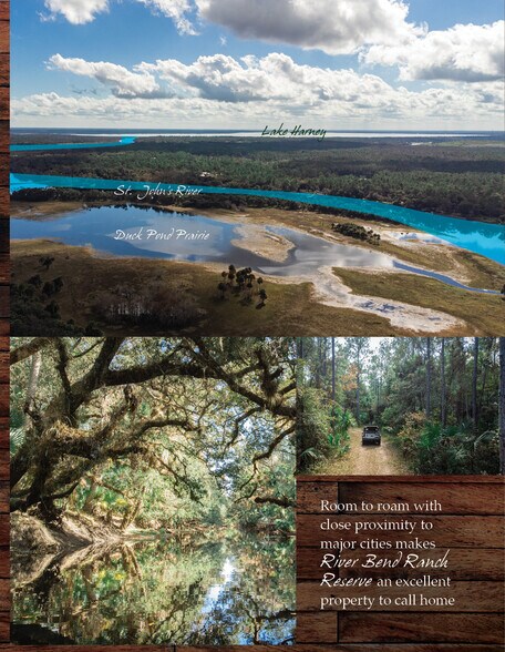 More Photos Of 1411 Osteen Maytown, Osteen Land For Sale