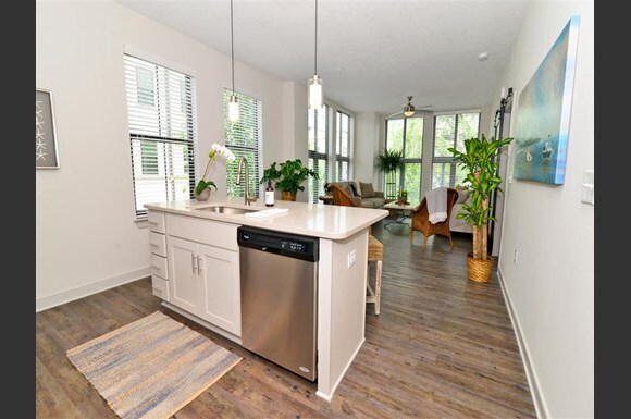 More Photos Of 1421 Shucker Cir, Mount Pleasant Apartments For Lease