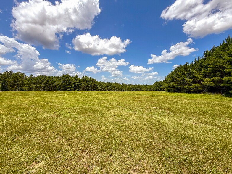 More Photos Of 1682 FM 980 Rd, Huntsville Land For Sale