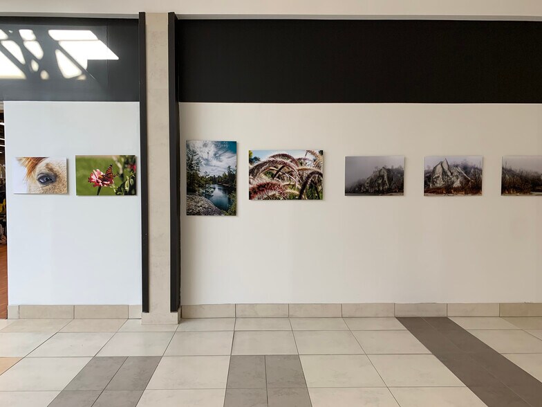 More Photos Of 243 King St E, Bowmanville Freestanding For Lease