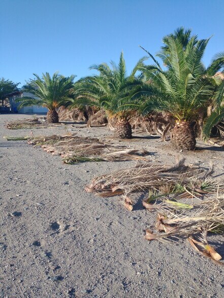 More Photos Of 2941 S Franhi Rd, Littlefield Land For Sale