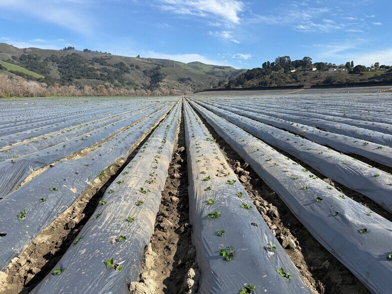 More Photos Of Murphy Hill Road, Watsonville Land For Sale