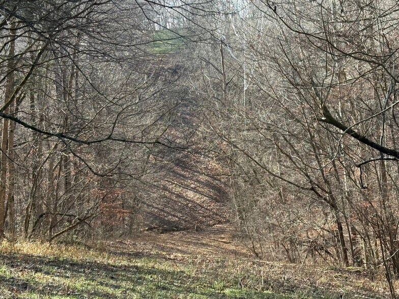 More Photos Of 4604 Summersville Rd, Campbellsville Land For Sale
