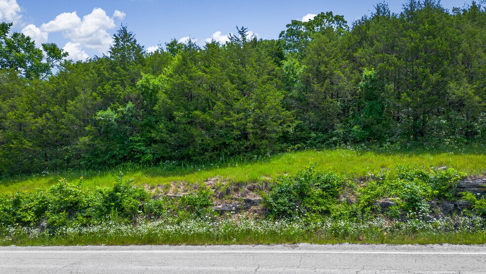 More Photos Of 19135 US 62, Eureka Springs Land For Sale