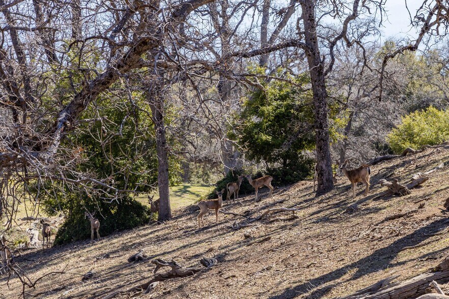 More Photos Of 38633 E Carmel Valley Rd, Carmel Valley Land For Sale