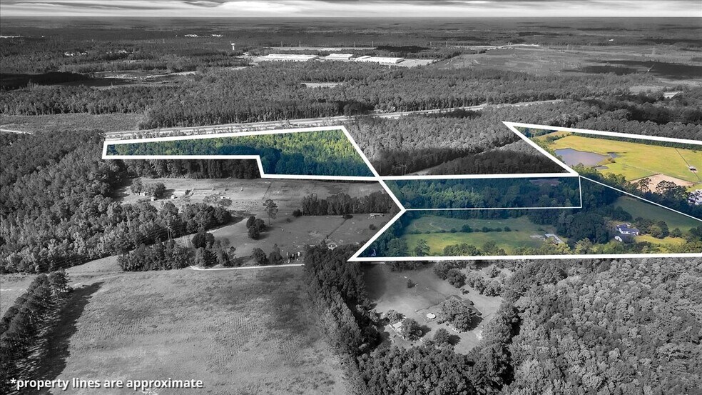 More Photos Of 1075 Osteen Rd, Bloomingdale Land For Sale