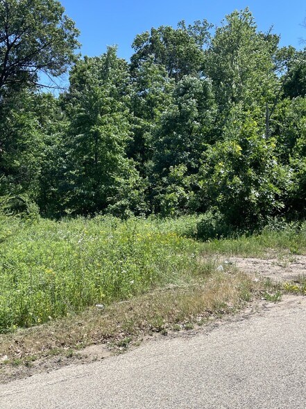 More Photos Of Hwy 12/16 & 60th St, Wisconsin Dells Land For Sale