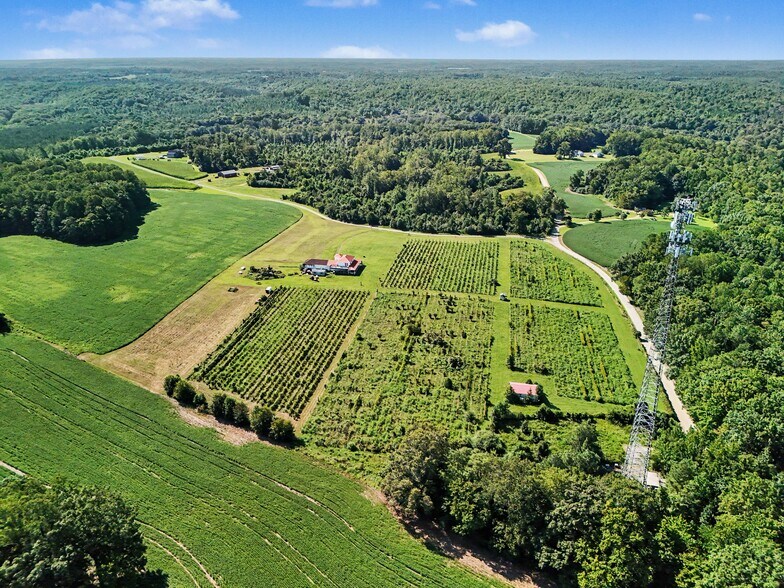 More Photos Of 495 Meadow Landing Ln, Caret Winery Vineyard For Sale