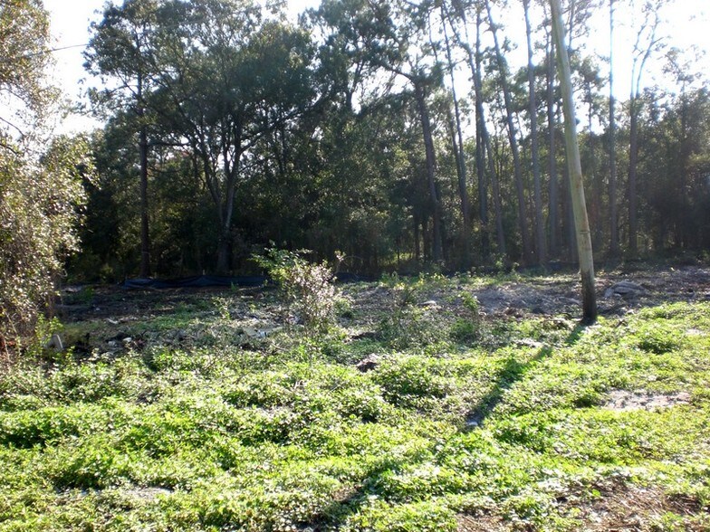 More Photos Of 0 Antilla St, Tampa Land For Sale