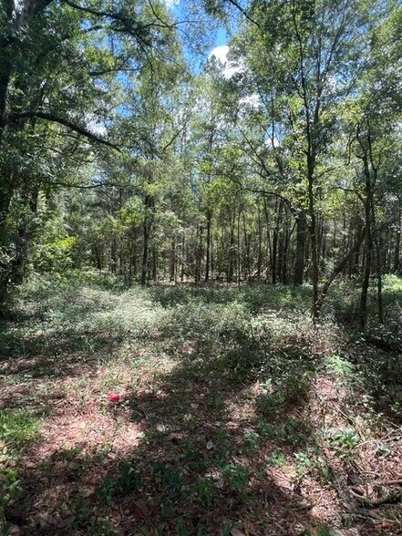 More Photos Of 16958 NW US Highway 441, High Springs Land For Lease