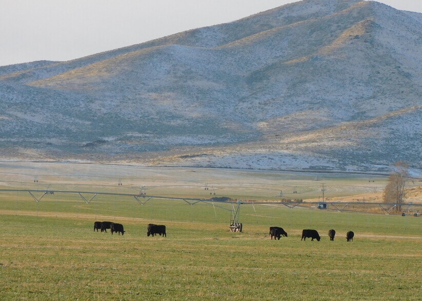 More Photos Of 33 Mecham Lane ln, Carey Land For Sale