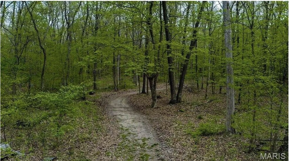 More Photos Of 6959 W Fellin Drive, Mount, Mount Olive Land For Sale