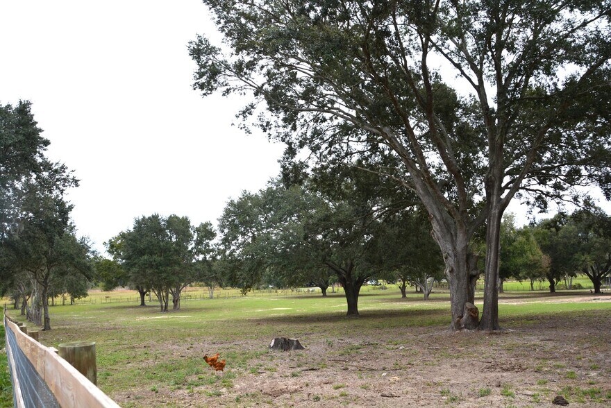 More Photos Of 3816 Lake Brite St, Groveland Land For Sale