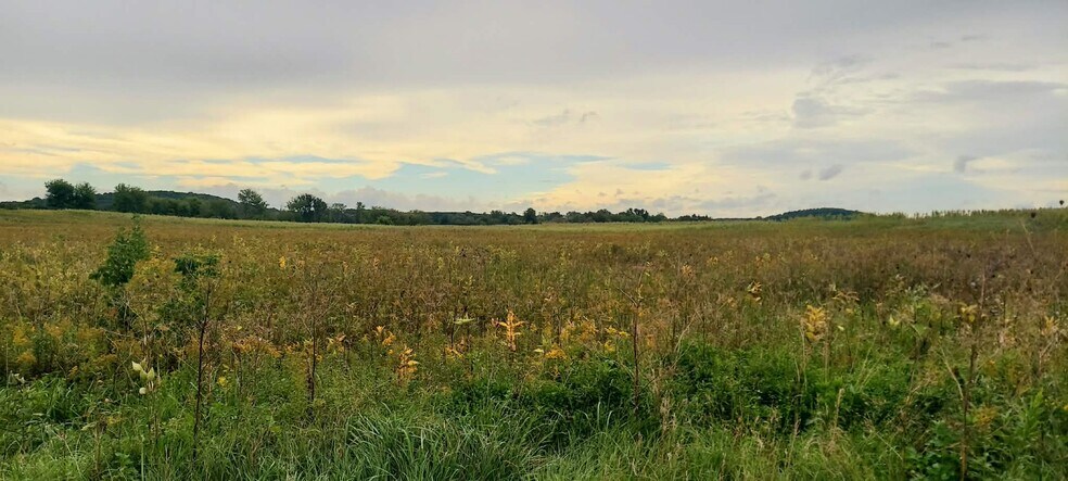 More Photos Of Intersection of State Highways 60 and 67, Neosho Land For Sale