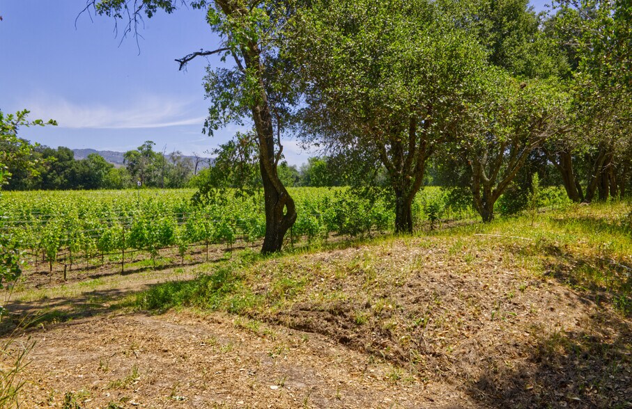 More Photos Of 6160 St Helena hwy, Napa Land For Sale