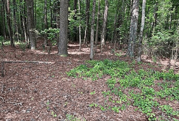 More Photos Of Jimmie Mayfield Blvd Fayetteville, GA 30215 United States, Fayetteville Land For Sale