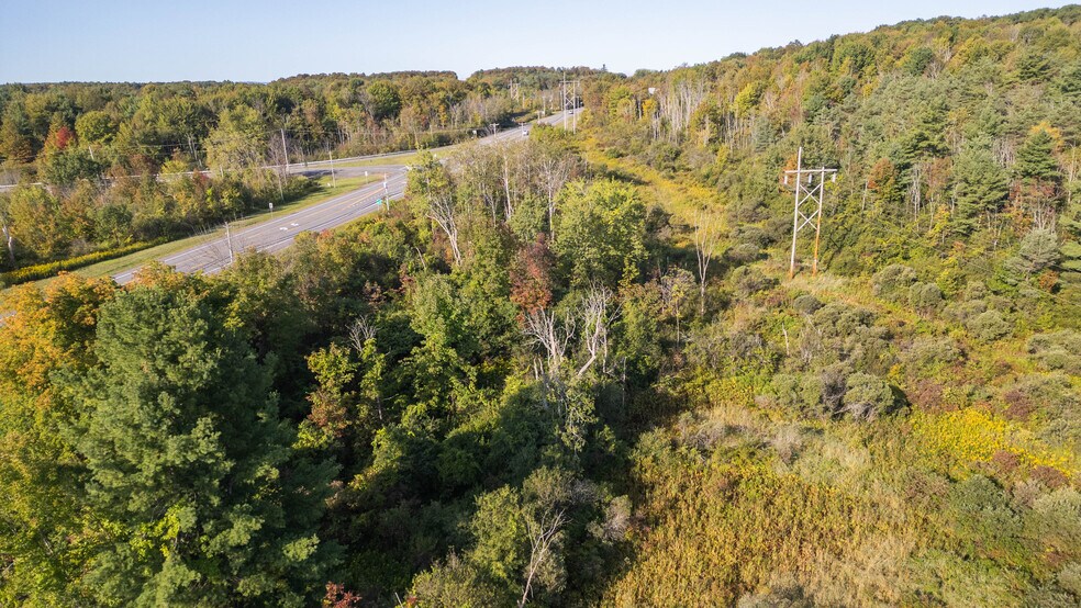 More Photos Of 219 Mudge rd, Delanson Land For Sale
