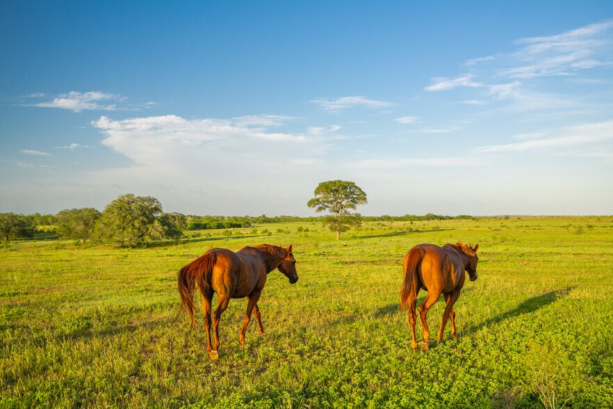 More Photos Of 5279 FM 1117, Nixon Land For Sale